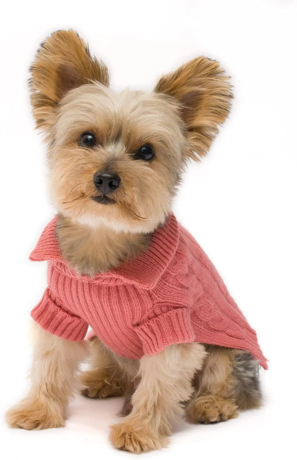 Camel Aran Dog Sweater