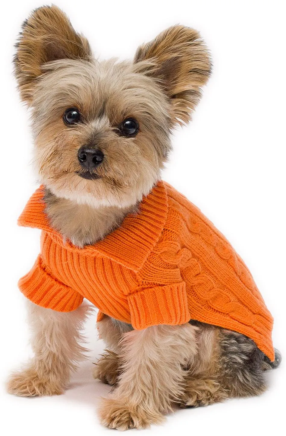 Camel Aran Dog Sweater