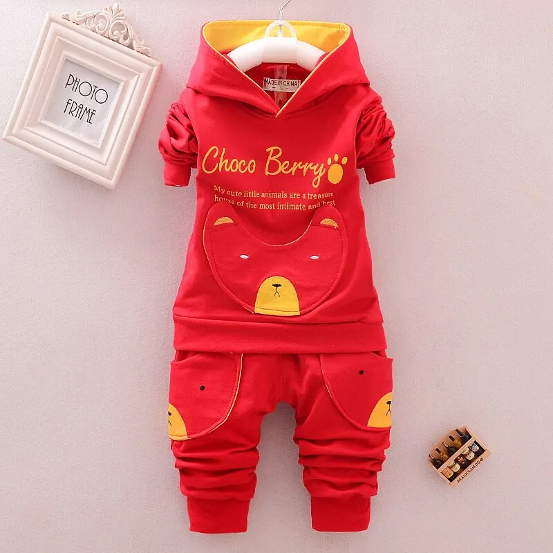 Kids Hooded Toddler Tracksuit